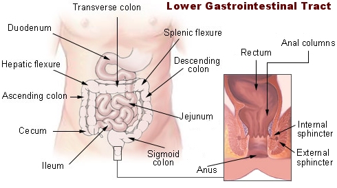 Best Gastroenterologist in India